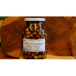 Olive in Salamoia
