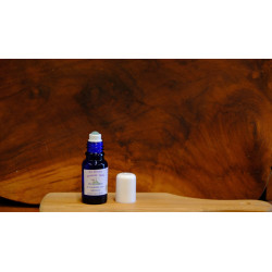 Olio essenziale di lavanda officinalis 10ml